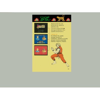 MANUAL ART OF FIGHTING SUPER NINTENDO (SNE