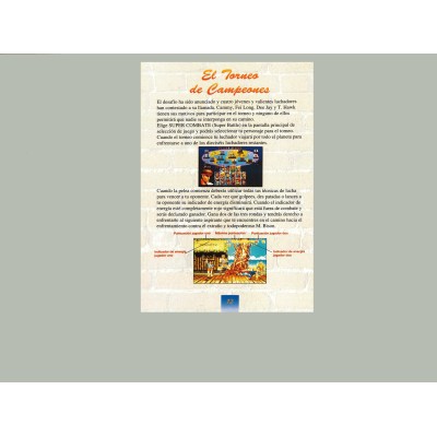 MANUAL SUPER STREET FIGHTER II SUPER NINTENDO (SNES)